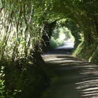 La route d'accès au gîte