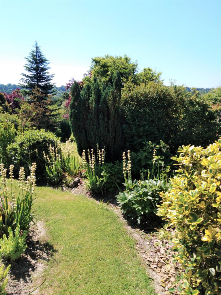 Jardin